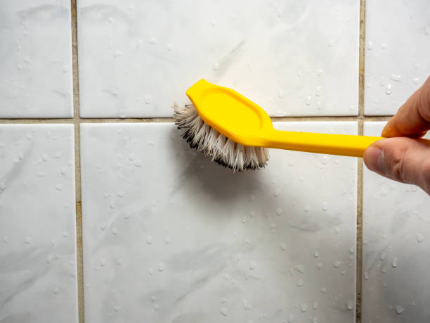 Professional Mold Removal in Beavercreek, OH
