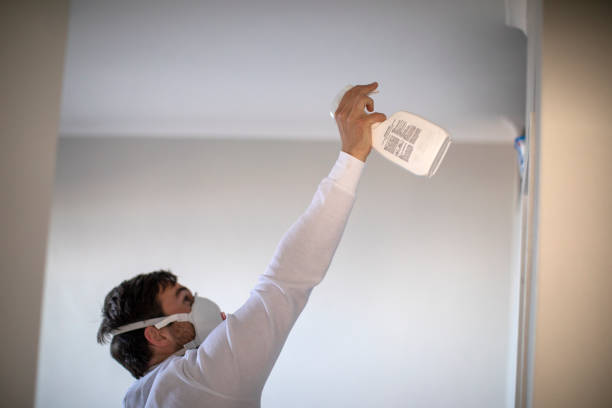 Best Certified Mold Removal  in Beavercreek, OH